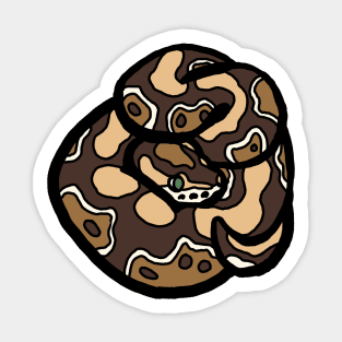 Bold Ball Python - Normal Sticker